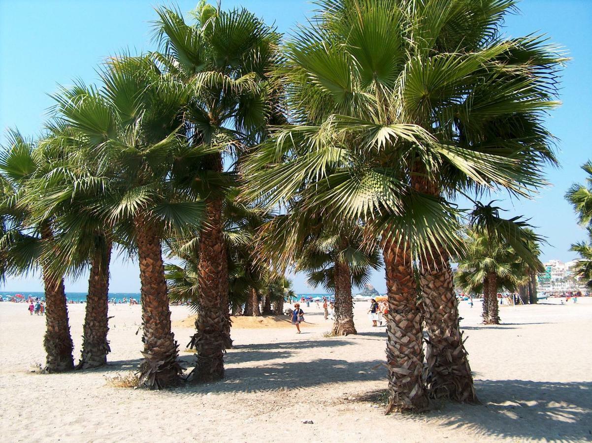 Central Almunecar, Beach Playa 125 Metres, By Old Town Dış mekan fotoğraf